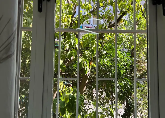 Apartment New Bazaar Cane 2