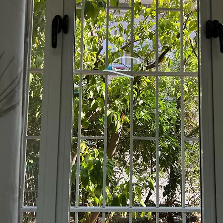 Apartman New Bazaar Cane 2